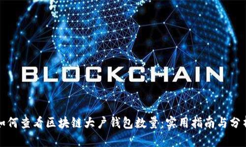 如何查看区块链大户钱包数量:实用指南与分析