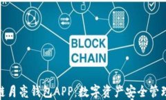 探索区块链月亮钱包APP：数字资产安全