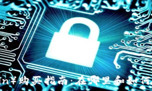 狗狗币(Dogecoin)购买指南:在哪里和如何安全投资狗狗币
