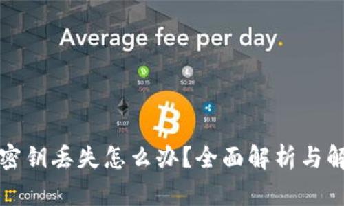 比特币密钥丢失怎么办?全面解析与解决方案