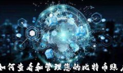 如何查看和管理您的比特币账户