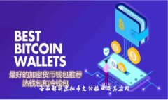 全面解析虚拟币支付接口及其应用