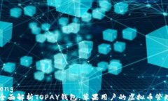 jiaotong    全面解析TOPAY钱包：苹果用户