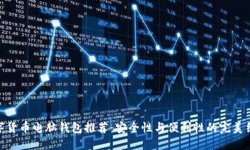 数字货币电脑钱包推荐:安全性与便利性的完美结合