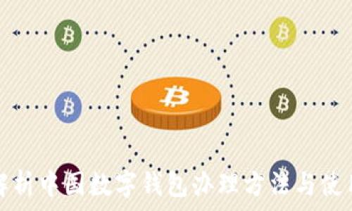 全面解析中国数字钱包办理方法与使用指南