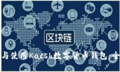 如何选择与使用Kacsh数字货币钱包：全