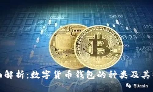 全面解析:数字货币钱包的种类及其特点