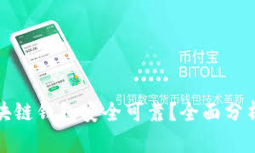 哪种区块链钱包安全可靠?全面分析与推荐