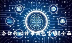 如何选择适合你的比特币钱包官网？全