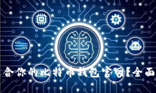 如何选择适合你的比特币钱包官网?全面指南及推荐