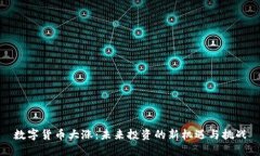 数字货币大涨：未来投资的新机遇与挑