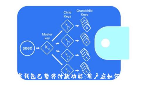 数字钱包已暂停付款功能:用户应如何应对?