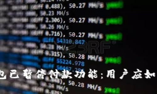 数字钱包已暂停付款功能:用户应如何应对?