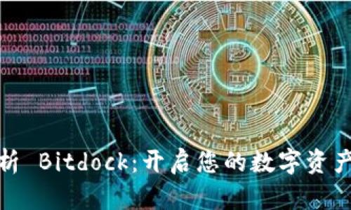 全方位解析 Bitdock：开启您的数字资产管理之路