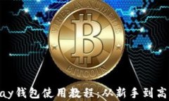 全面掌握GoPay钱包使用教程：从新手到高手的逐步