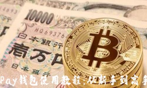 
全面掌握GoPay钱包使用教程：从新手到高手的逐步指南