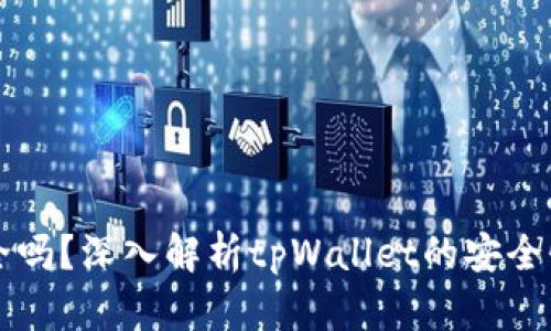tpWallet安全吗?深入解析tpWallet的安全性与使用特点