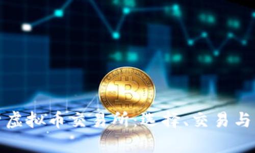 全面解析虚拟币交易所:选择、交易与风险管理