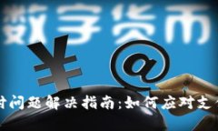 tpWallet支付问题解决指南：如何应对支