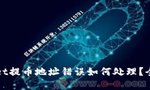 tpWallet提币地址错误如何处理?全面指南
