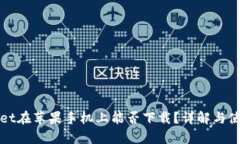 tpWallet在苹果手机上能否下载？详解与