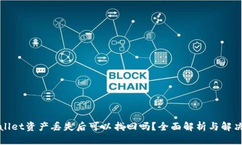 tpWallet资产丢失后可以找回吗?全面解析与解决方案
