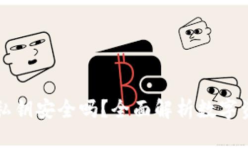 tpWallet私钥安全吗?全面解析数字资产安全性