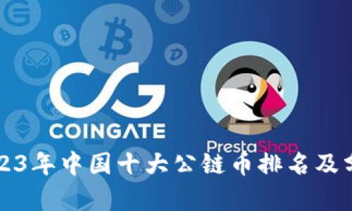2023年中国十大公链币排名及分析