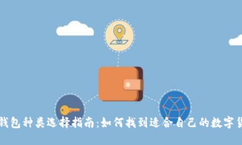 区块链钱包种类选择指南：如何找到适合自己的数字货币钱包