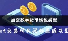 TPWallet交易所关闭的原因及影响分析