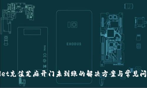 tpWallet充值芝麻开门未到账的解决方案与常见问题解析