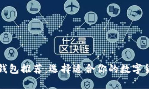 比特币个人钱包推荐:选择适合你的数字货币存储方案