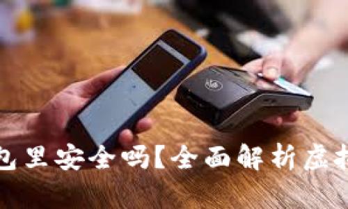 虚拟币放钱包里安全吗?全面解析虚拟货币安全性