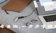 如何进行USDT交易哈希查询：一步步掌