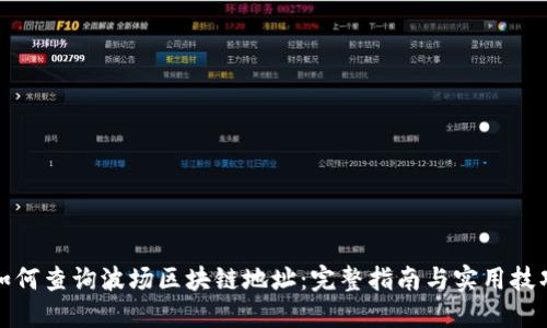 如何查询波场区块链地址:完整指南与实用技巧
