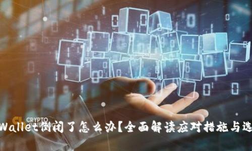 tpWallet倒闭了怎么办?全面解读应对措施与选择