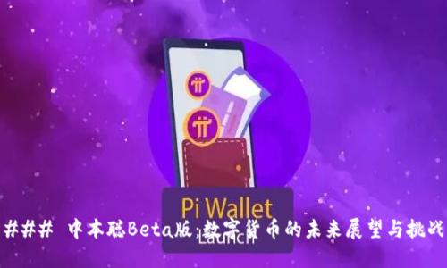 ### 中本聪Beta版:数字货币的未来展望与挑战