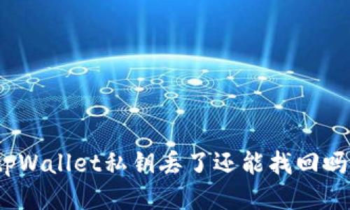 tpWallet私钥丢了还能找回吗?