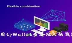 如何使用tpWallet查看他人的钱包信息？