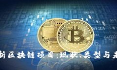 全面解析区块链项目：现状、类型与未
