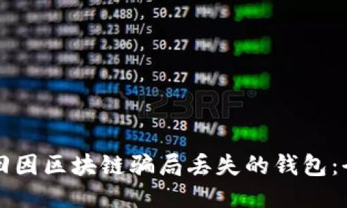 如何找回因区块链骗局丢失的钱包:全面指南