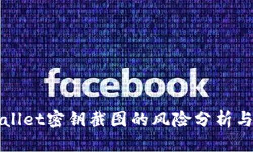 tpWallet密钥截图的风险分析与防范