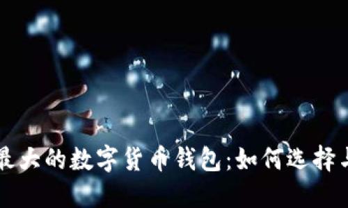全球最大的数字货币钱包:如何选择与使用