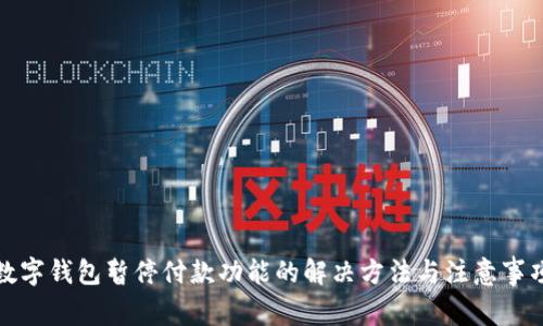 数字钱包暂停付款功能的解决方法与注意事项