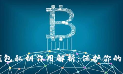 区块链钱包私钥作用解析:保护你的数字资产
