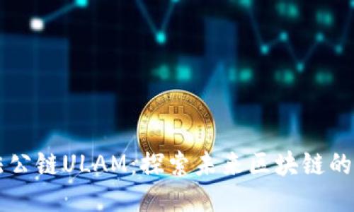 中国合法公链ULAM:探索未来区块链的无限可能
