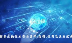 深入解析区块链大型交易所：选择、使