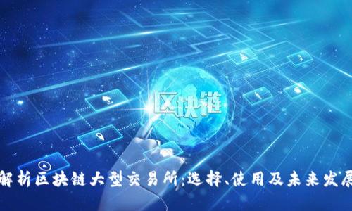 深入解析区块链大型交易所:选择、使用及未来发展趋势