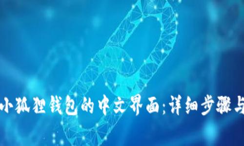 如何设置小狐狸钱包的中文界面:详细步骤与注意事项