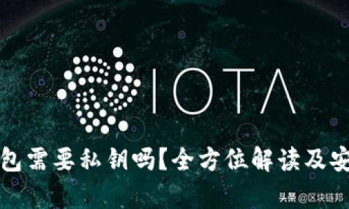 加密货币钱包需要私钥吗?全方位解读及安全隐患分析